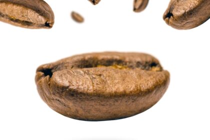 découvrez notre sélection de stimulateurs clitoridiens pour des plaisirs intenses et sur mesure. des produits innovants, discrets et sûrs pour explorer de nouvelles sensations en solo ou en couple.