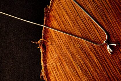 découvrez tout ce qu'il faut savoir sur le clitoris : anatomie, fonction, et son rôle essentiel dans le plaisir féminin. informations fiables et conseils pour mieux comprendre cette partie du corps féminin.