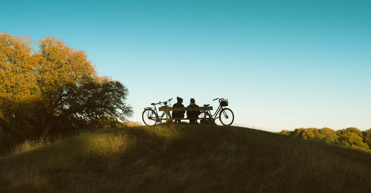 découvrez le plaisir partagé avec notre sélection de vibrateurs pour couple, conçus pour intensifier votre intimité et offrir des sensations uniques à deux. explorez de nouvelles expériences à chaque utilisation.