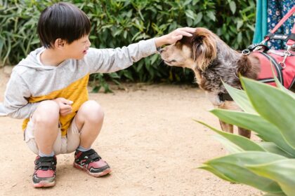 découvrez la signification, les causes et les conséquences d’un délai. apprenez comment gérer efficacement les retards pour optimiser vos projets et activités au quotidien.