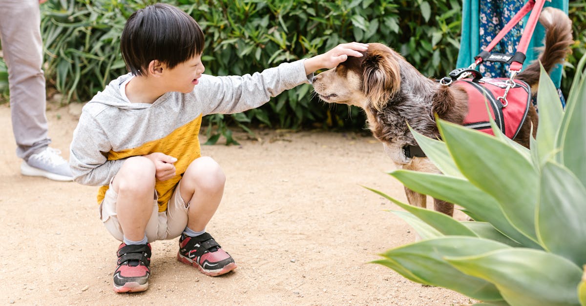 découvrez la signification, les causes et les conséquences d’un délai. apprenez comment gérer efficacement les retards pour optimiser vos projets et activités au quotidien.