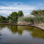 découvrez notre sélection de sextoys éco-friendly, conçus à partir de matériaux respectueux de l’environnement, durables et sûrs pour la santé. adoptez une sexualité responsable tout en préservant la planète !