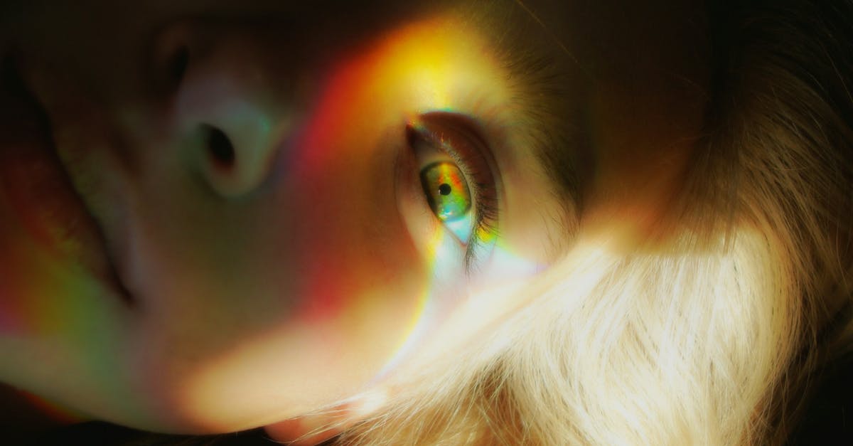 plongez dans l'univers captivant de la fantasy : découvrez des mondes magiques, des créatures extraordinaires et des aventures épiques à travers histoires, films, jeux et actualités du genre fantasy.