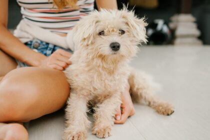 découvrez notre sélection de jouets intimes féminins : des produits innovants, sûrs et discrets pour le plaisir, la détente et l’exploration en douceur de votre bien-être intime.