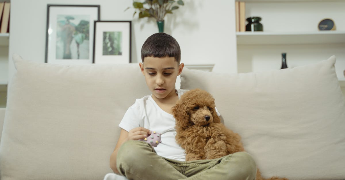 découvrez notre sélection de sextoys pour homme : plaisir, stimulation et innovation pour répondre à toutes vos envies. profitez d'une expérience intime personnalisée et discrète.