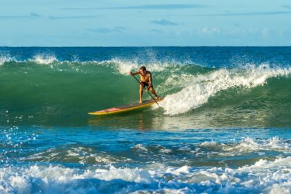 découvrez tout sur le paddle : conseils, techniques, équipements et astuces pour débutants et passionnés. améliorez votre expérience sur l’eau avec nos guides pratiques.