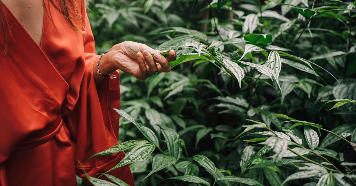 découvrez le pouvoir de l’exploration sensorielle : stimulez votre curiosité, développez vos sens et enrichissez votre expérience au quotidien à travers des activités interactives et immersives.