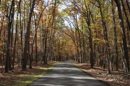 découvrez comment l'exploration sexuelle permet d'approfondir la connaissance de soi, d'améliorer la communication avec son partenaire et de vivre une intimité épanouie. conseils, informations et ressources pour explorer en toute confiance.