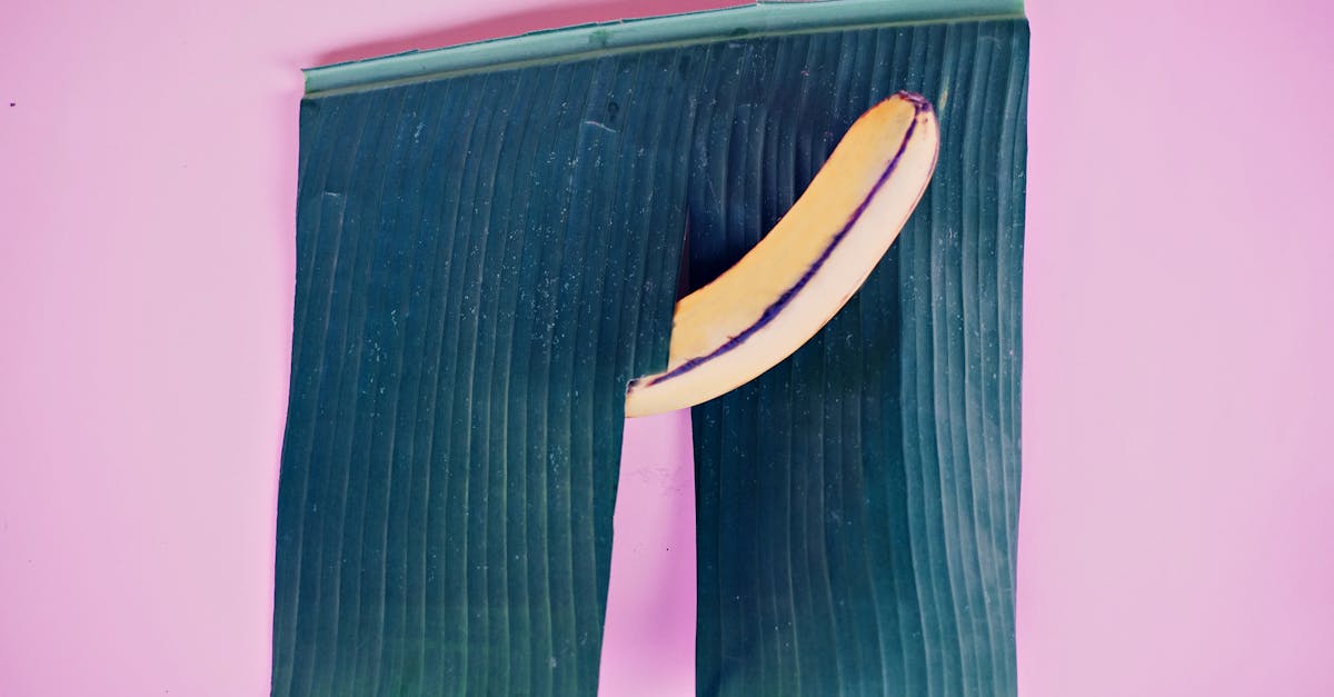 découvrez les différents tabous sexuels, leurs origines et leurs impacts sur la société moderne. informez-vous sur la manière dont les tabous façonnent nos comportements et influencent notre perception de la sexualité.