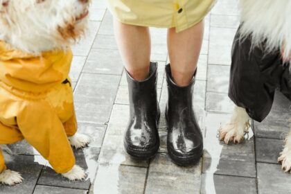 découvrez tout sur le waterproof : ses avantages, comment l’utiliser efficacement et choisir les meilleurs produits imperméables pour protéger vos biens au quotidien.