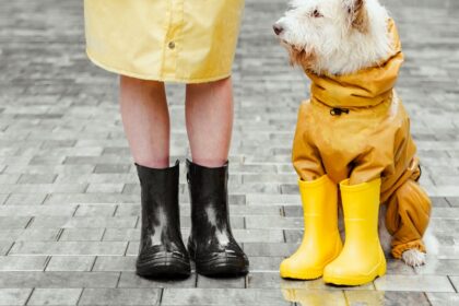 découvrez comment le terme waterproof garantit une parfaite résistance à l’eau pour vos objets et équipements. idéal pour protéger vos effets personnels lors d’activités extérieures ou sous la pluie.
