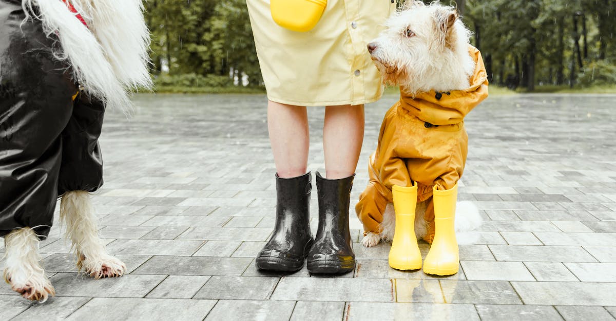 découvrez les sextoys waterproof pour des moments de plaisir en toute sécurité sous la douche ou dans le bain. profitez d'une sélection d'objets de plaisir étanches, conçus pour satisfaire tous vos désirs, où que vous soyez.