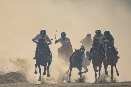 découvrez tout ce qu’il faut savoir sur le « whip » : définition, usages, origines et conseils pour bien l’utiliser au quotidien.