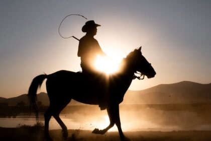 découvrez tout ce qu'il faut savoir sur le « whip » : signification, utilisations et astuces pour bien l'utiliser dans différents contextes. apprenez-en plus ici !