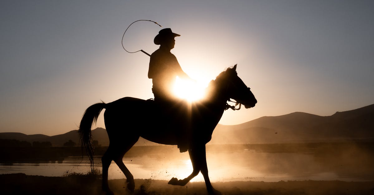 découvrez tout ce qu'il faut savoir sur le « whip » : signification, utilisations et astuces pour bien l'utiliser dans différents contextes. apprenez-en plus ici !